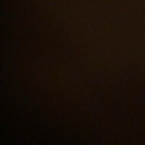 Meet your Posher, Bella